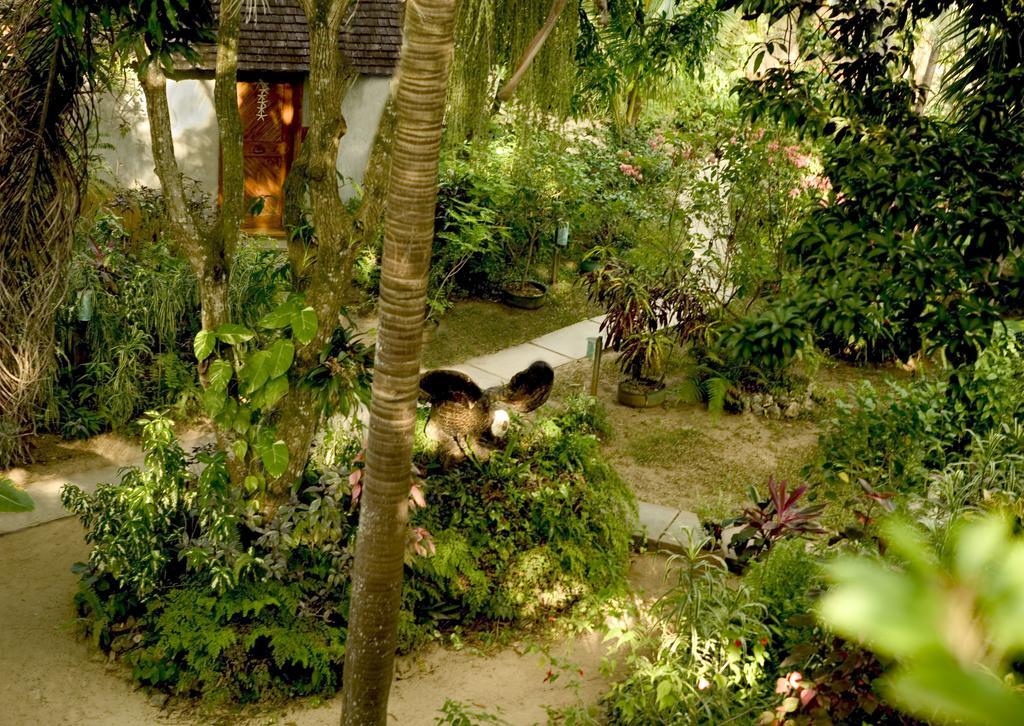 Hotel Whistling Bird Negril Exteriér fotografie
