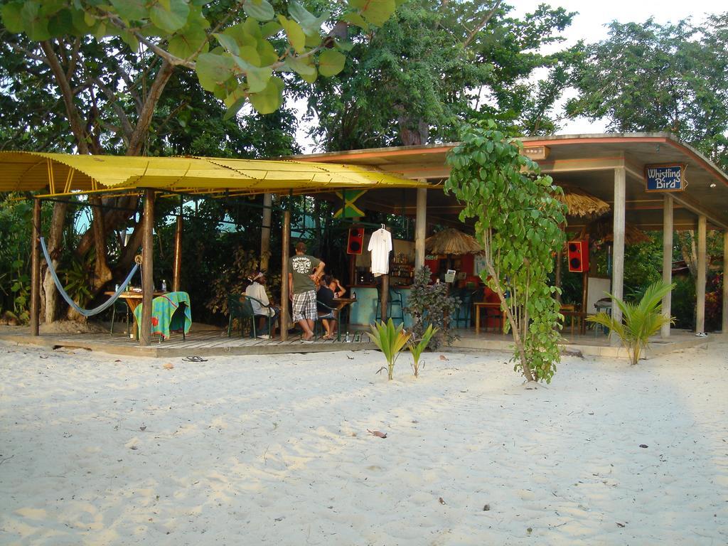 Hotel Whistling Bird Negril Exteriér fotografie
