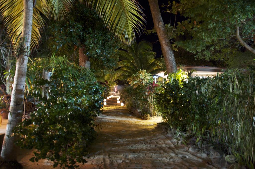 Hotel Whistling Bird Negril Exteriér fotografie