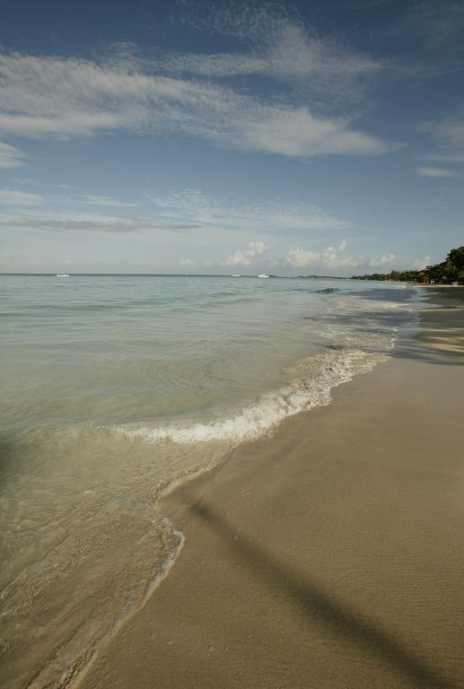 Hotel Whistling Bird Negril Exteriér fotografie